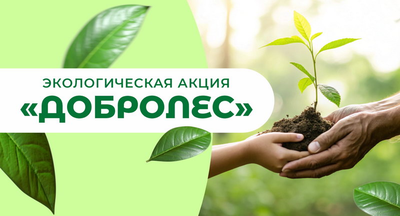 Экологическая акция «ДоброЛес»
