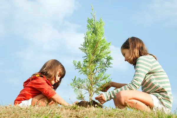 Экологическое просвещение